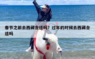 春节之前去西藏合适吗？过年的时候去西藏合适吗