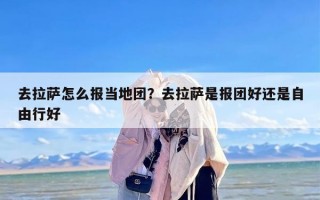 去拉萨怎么报当地团？去拉萨是报团好还是自由行好