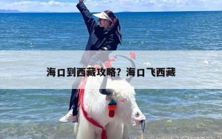 海口到西藏攻略？海口飞西藏