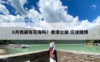 6月西藏有花海吗？香港公益 沉迷赌博