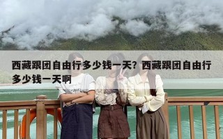 西藏跟团自由行多少钱一天？西藏跟团自由行多少钱一天啊