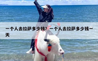 一个人去拉萨多少钱？一个人去拉萨多少钱一天