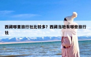 西藏哪里旅行社比较多？西藏当地有哪些旅行社