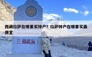 西藏拉萨在哪里买特产？拉萨特产在哪里买最便宜