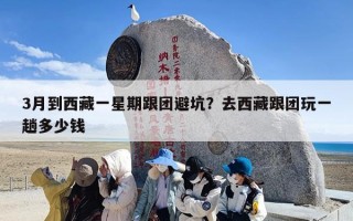 3月到西藏一星期跟团避坑？去西藏跟团玩一趟多少钱