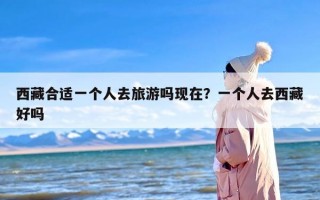 西藏合适一个人去旅游吗现在？一个人去西藏好吗