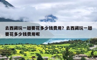 去西藏玩一趟要花多少钱费用？去西藏玩一趟要花多少钱费用呢