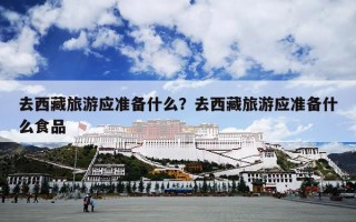 去西藏旅游应准备什么？去西藏旅游应准备什么食品