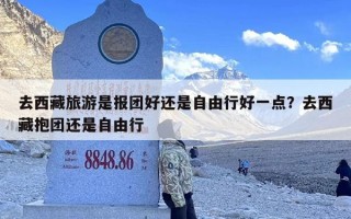 去西藏旅游是报团好还是自由行好一点？去西藏抱团还是自由行