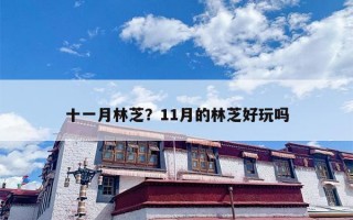 十一月林芝？11月的林芝好玩吗