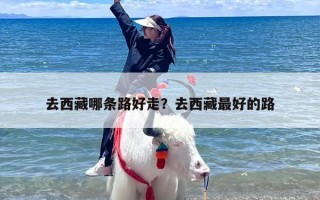 去西藏哪条路好走？去西藏最好的路