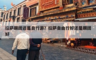拉萨跟团还是自行游？拉萨自由行好还是跟团好