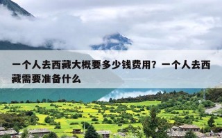 一个人去西藏大概要多少钱费用？一个人去西藏需要准备什么