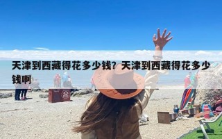 天津到西藏得花多少钱？天津到西藏得花多少钱啊