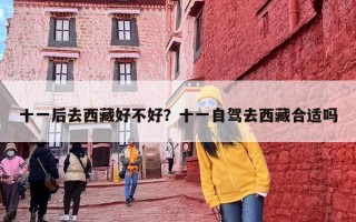 十一后去西藏好不好？十一自驾去西藏合适吗