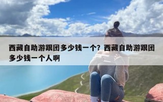 西藏自助游跟团多少钱一个？西藏自助游跟团多少钱一个人啊