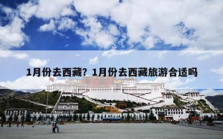 1月份去西藏？1月份去西藏旅游合适吗