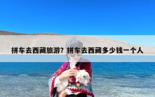 拼车去西藏旅游？拼车去西藏多少钱一个人