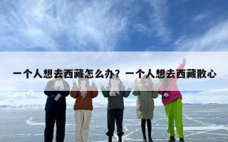 一个人想去西藏怎么办？一个人想去西藏散心