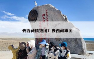 去西藏精致团？去西藏跟团