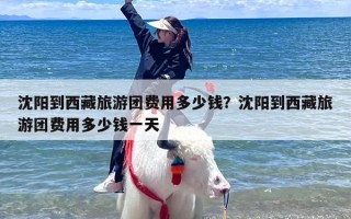 沈阳到西藏旅游团费用多少钱？沈阳到西藏旅游团费用多少钱一天