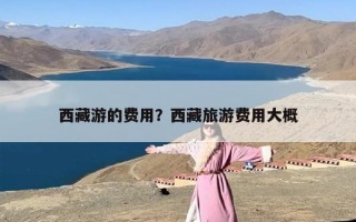 西藏游的费用？西藏旅游费用大概