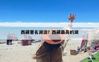 西藏著名湖泊？西藏最高的湖