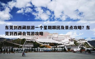 东莞到西藏旅游一个星期跟团及景点攻略？东莞到西藏自驾游攻略