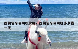 西藏包车带司机价格？西藏包车带司机多少钱一天