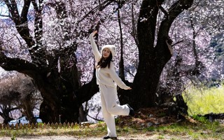 3月准备多少钱可以去西藏玩？三月到西藏游玩带多少钱？
