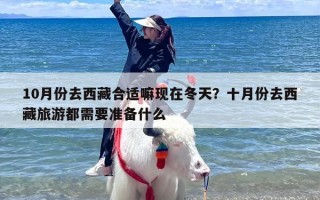 10月份去西藏合适嘛现在冬天？十月份去西藏旅游都需要准备什么