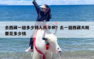 去西藏一趟多少钱人民币啊？去一趟西藏大概要花多少钱