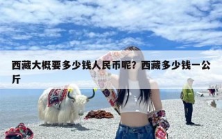 西藏大概要多少钱人民币呢？西藏多少钱一公斤