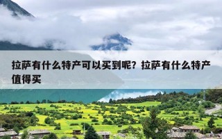 拉萨有什么特产可以买到呢？拉萨有什么特产值得买