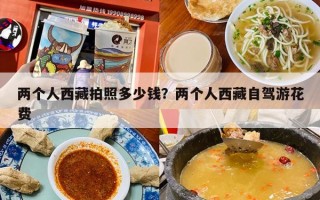 两个人西藏拍照多少钱？两个人西藏自驾游花费
