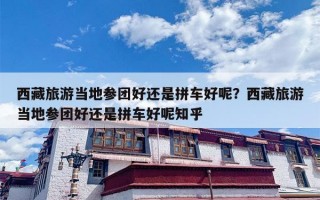 西藏旅游当地参团好还是拼车好呢？西藏旅游当地参团好还是拼车好呢知乎