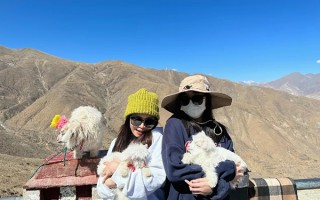 一个人五月去西藏旅游适合吗？一个人五月适合去西藏旅游吗？