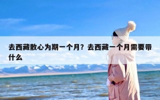 去西藏散心为期一个月？去西藏一个月需要带什么