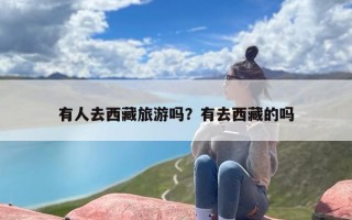 有人去西藏旅游吗？有去西藏的吗