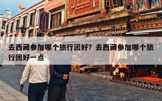 去西藏参加哪个旅行团好？去西藏参加哪个旅行团好一点