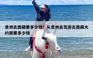 贵州去西藏要多少钱？从贵州自驾游去西藏大约需要多少钱