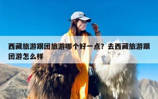 西藏旅游跟团旅游哪个好一点？去西藏旅游跟团游怎么样