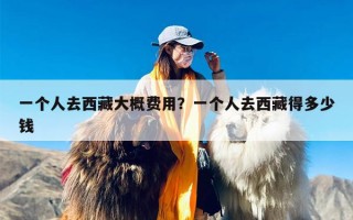 一个人去西藏大概费用？一个人去西藏得多少钱