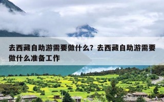 去西藏自助游需要做什么？去西藏自助游需要做什么准备工作
