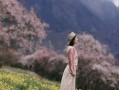 波密到林芝多少公里路
