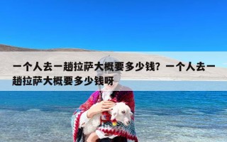 一个人去一趟拉萨大概要多少钱？一个人去一趟拉萨大概要多少钱呀