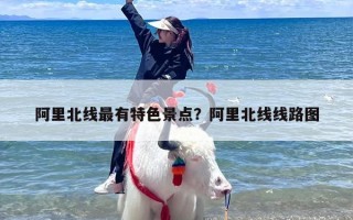 阿里北线最有特色景点？阿里北线线路图