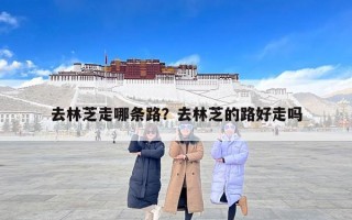 去林芝走哪条路？去林芝的路好走吗