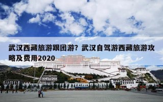 武汉西藏旅游跟团游？武汉自驾游西藏旅游攻略及费用2020