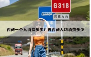 西藏一个人消费多少？去西藏人均消费多少